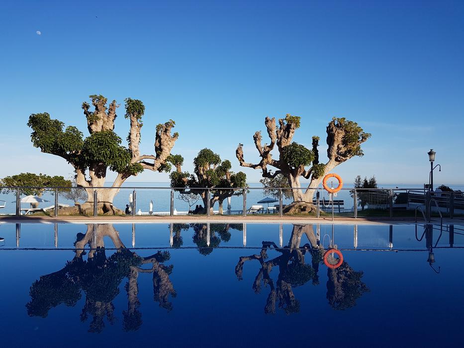 Sky Pool Highlights