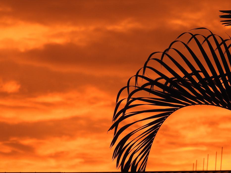 Sunset Color Landscape
