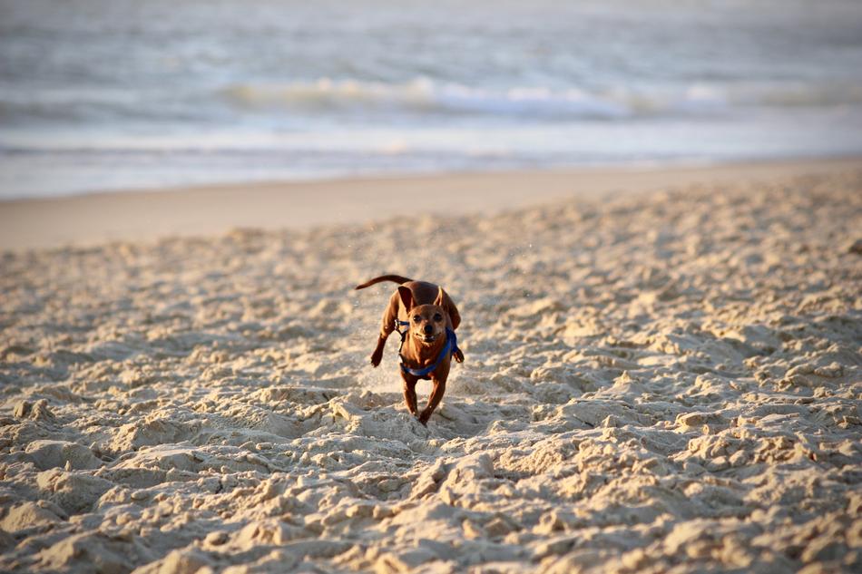 Beach Sand Sea