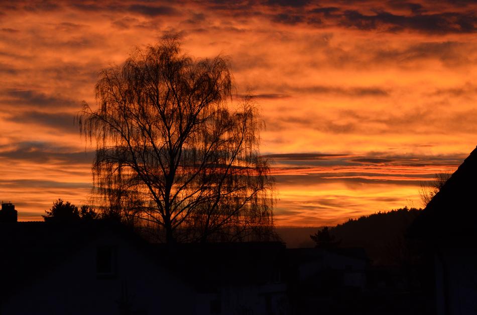 Autumn Sunset Golden