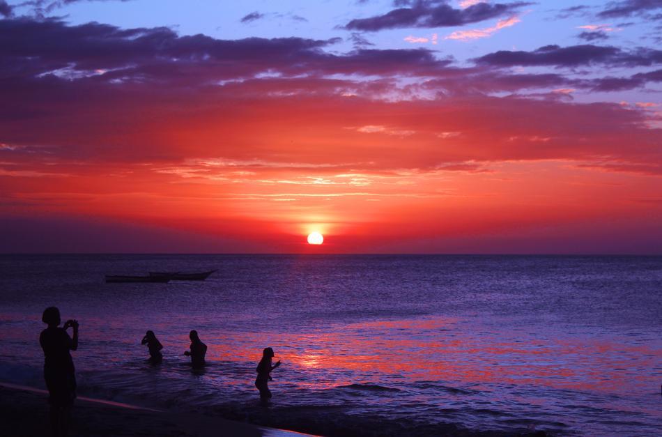 Beach Manzanillo Daisy The