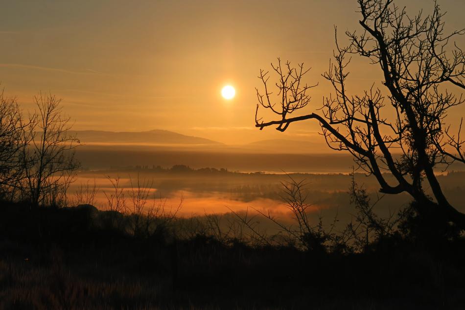 Dawn Landscape Tuscany