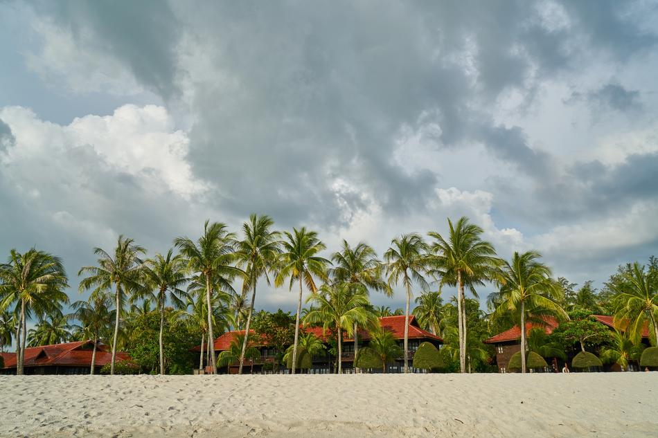 Beach Marine Nature