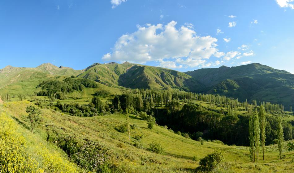 Kaçkars Landscape Green
