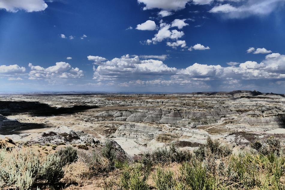 New Mexico Desert