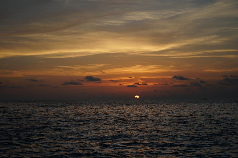 Beach Sea In The Sunset