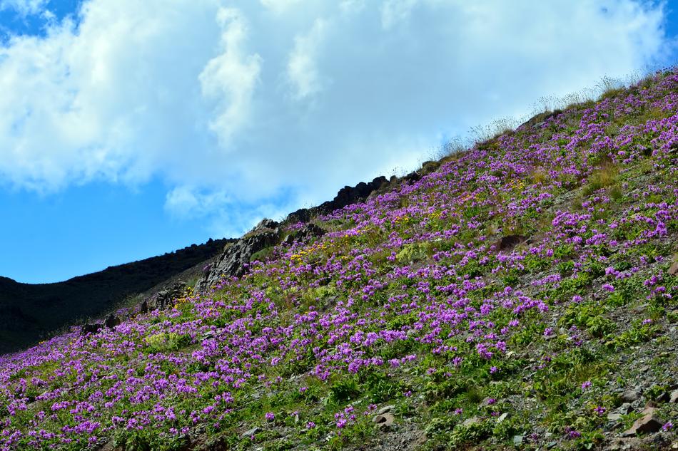 Nature Landscape Kaçkars