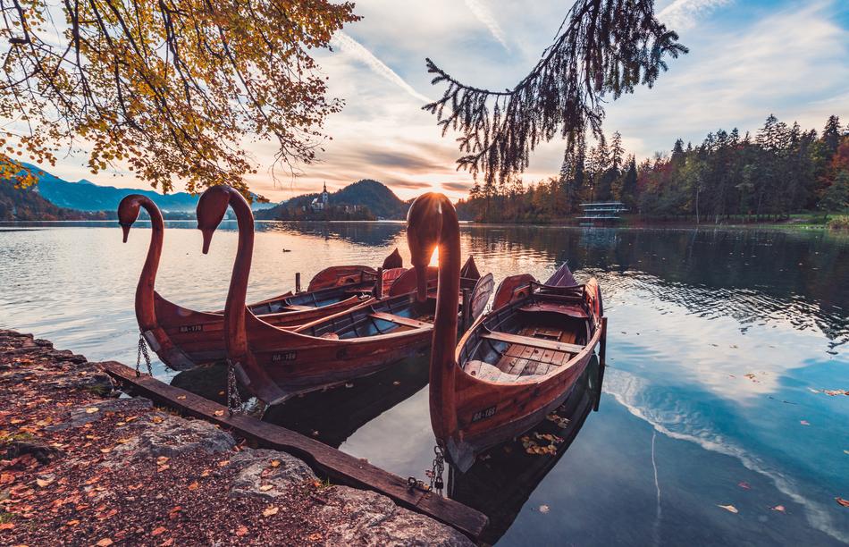 swans shaped Boats