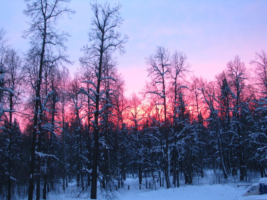 Evening Sunset Red