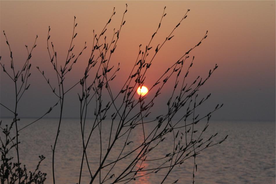 Sunset coast horizon
