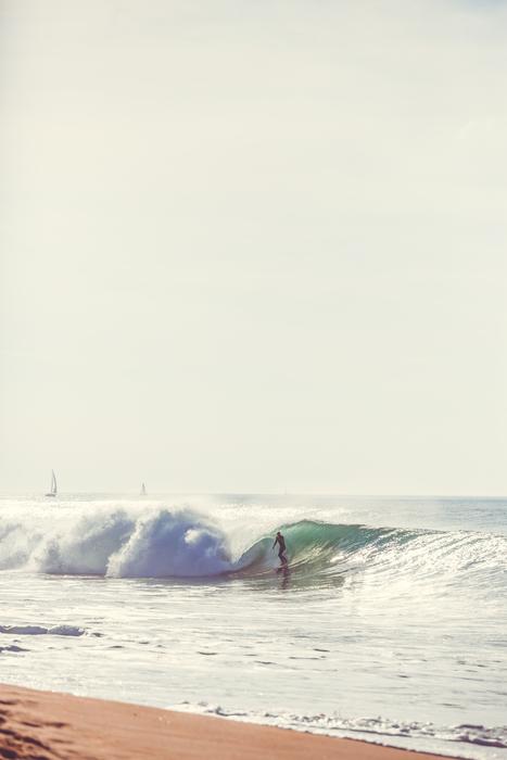 Beach Wave Surfer