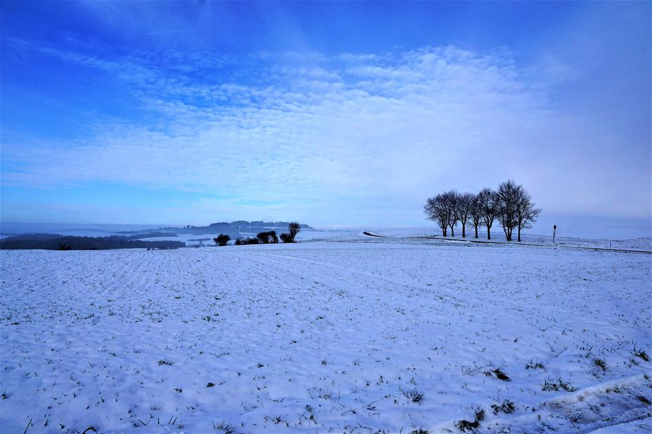 Winter Snow Nature