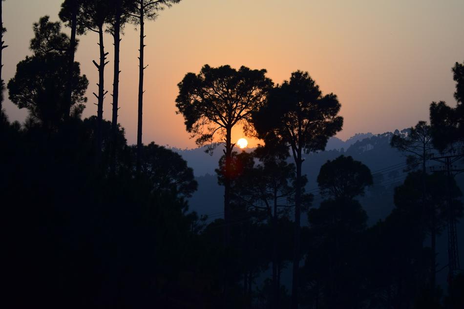 Sunset Trees Mountains