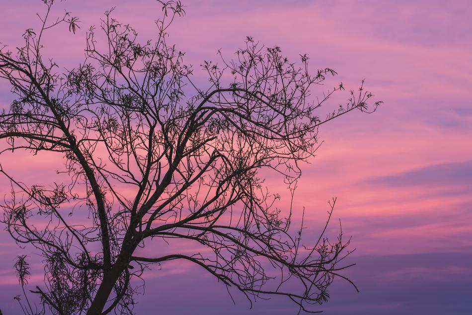 Sunset Sky Landscape
