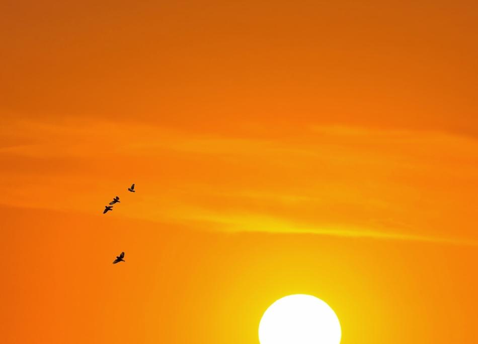 Sunset West Nature