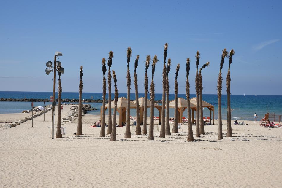 Beach Sea Sand
