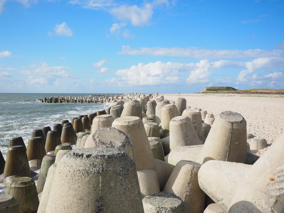 The Beach Fixing Tetrapods
