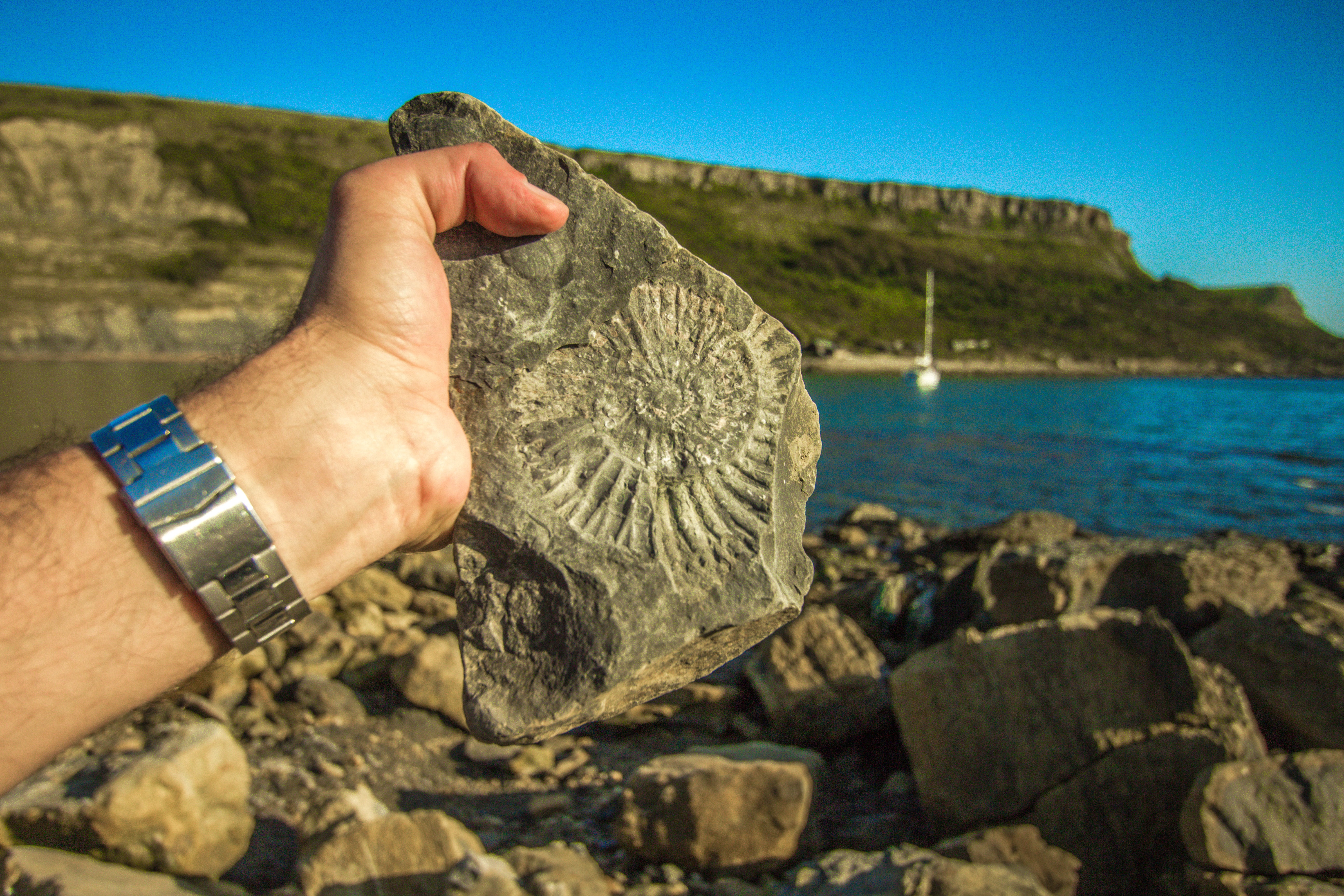 Изучение ископаемых. Fossil ископаемое. Окаменелости на берегу океана. Каменные находки на морском побережье.