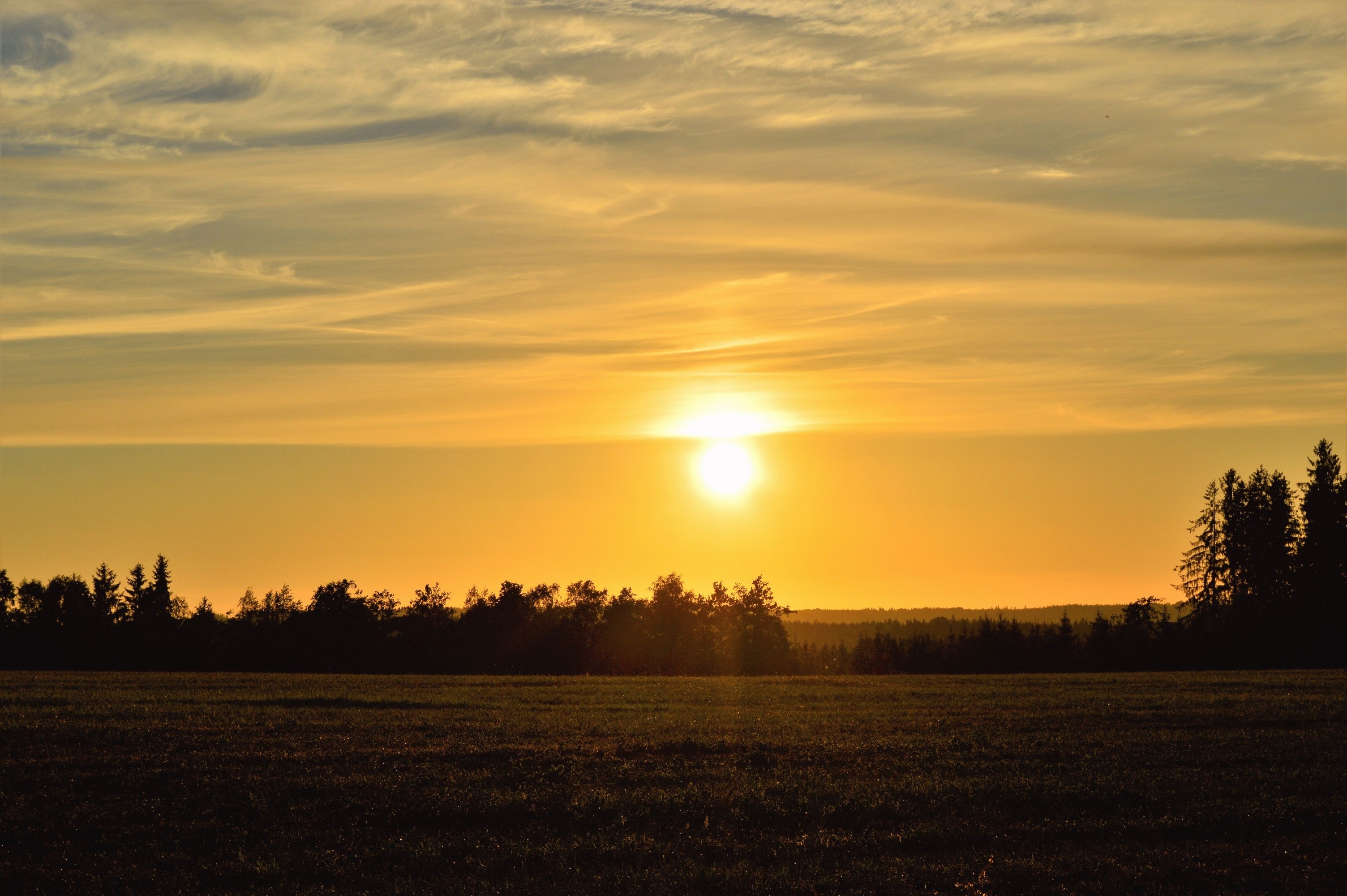 Sunset Sweden Field free image download