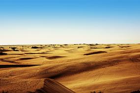 Sand Dunes Desert