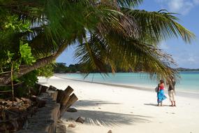 Praslin Island Seychelles beach