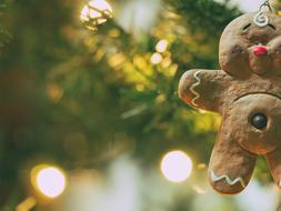 Christmas Decor ornament on Tree
