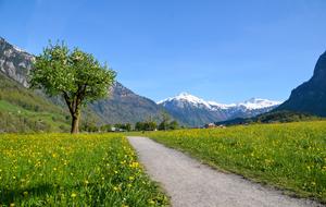 Hiking Alpine Landscape