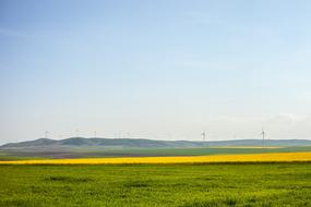 Landscape Summer Sunny