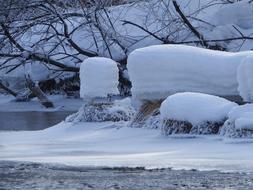 Winter Snow Frost