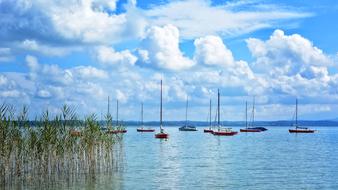 Sailing Boats Port Boat