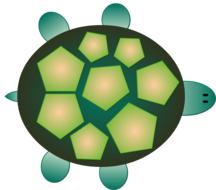 turtle reptile sea