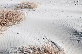 Beach Sand Seascape