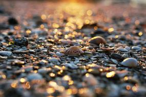 Sand Beach Shore