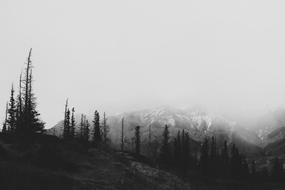 foggy Mountain Nature Landscape