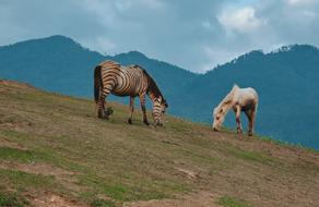 Landscape Mountain Nature