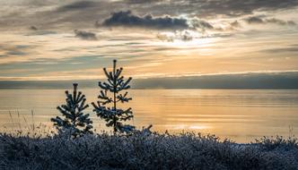 Sunset Nature Landscape