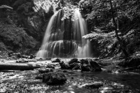 forest waterfall schliersee nature