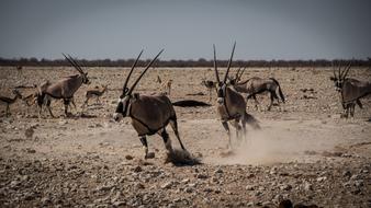 Namibia Outdoors