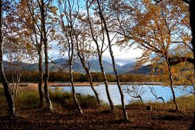 Lake Forest Autumn scenery