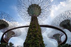 Gbtb Gardenbythebay Green