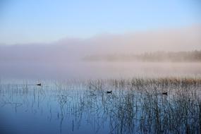 Water Sea Fog