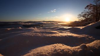 Snow at Sunrise in Winter