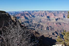 a big canyon with trees