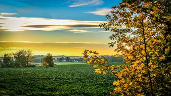 Sunset Autumn Landscape