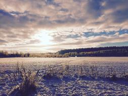 Snow Background Landscape Winter