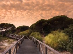 Bridge passing under an orange sky