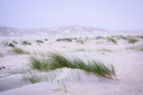 Baltrum Morgenstimmung North