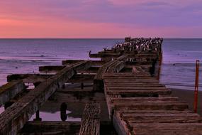 Punta Arenas Spring Sea