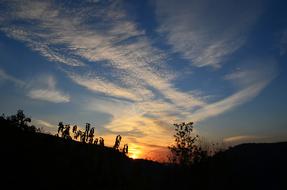 sunset landscape in the silhouette of a field