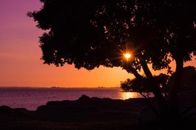 Silhouette Sunset Sunbeam